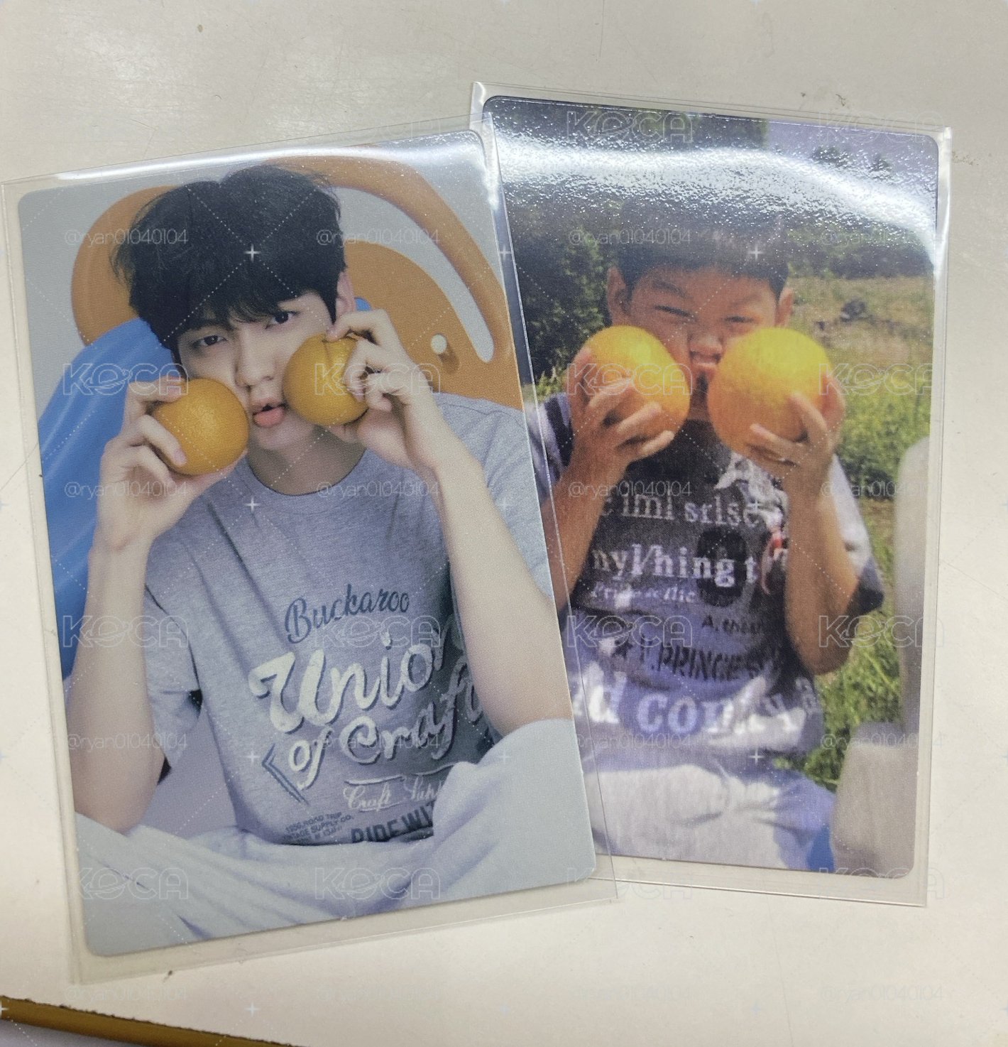 會員禮 TXT