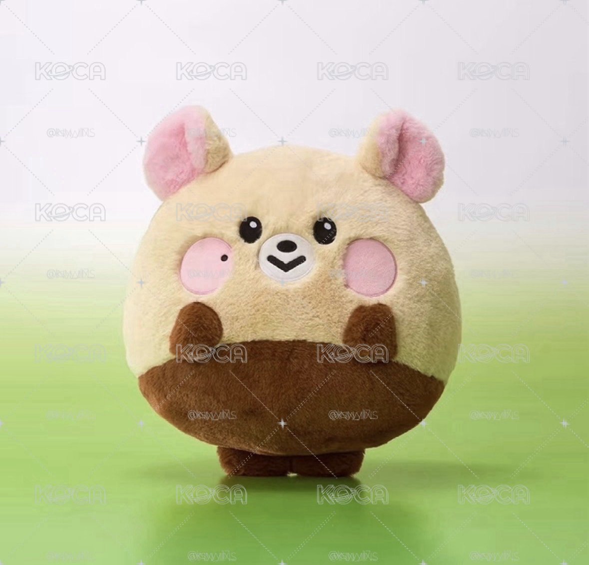（ 已預留 ）linefriend 原皮志晟