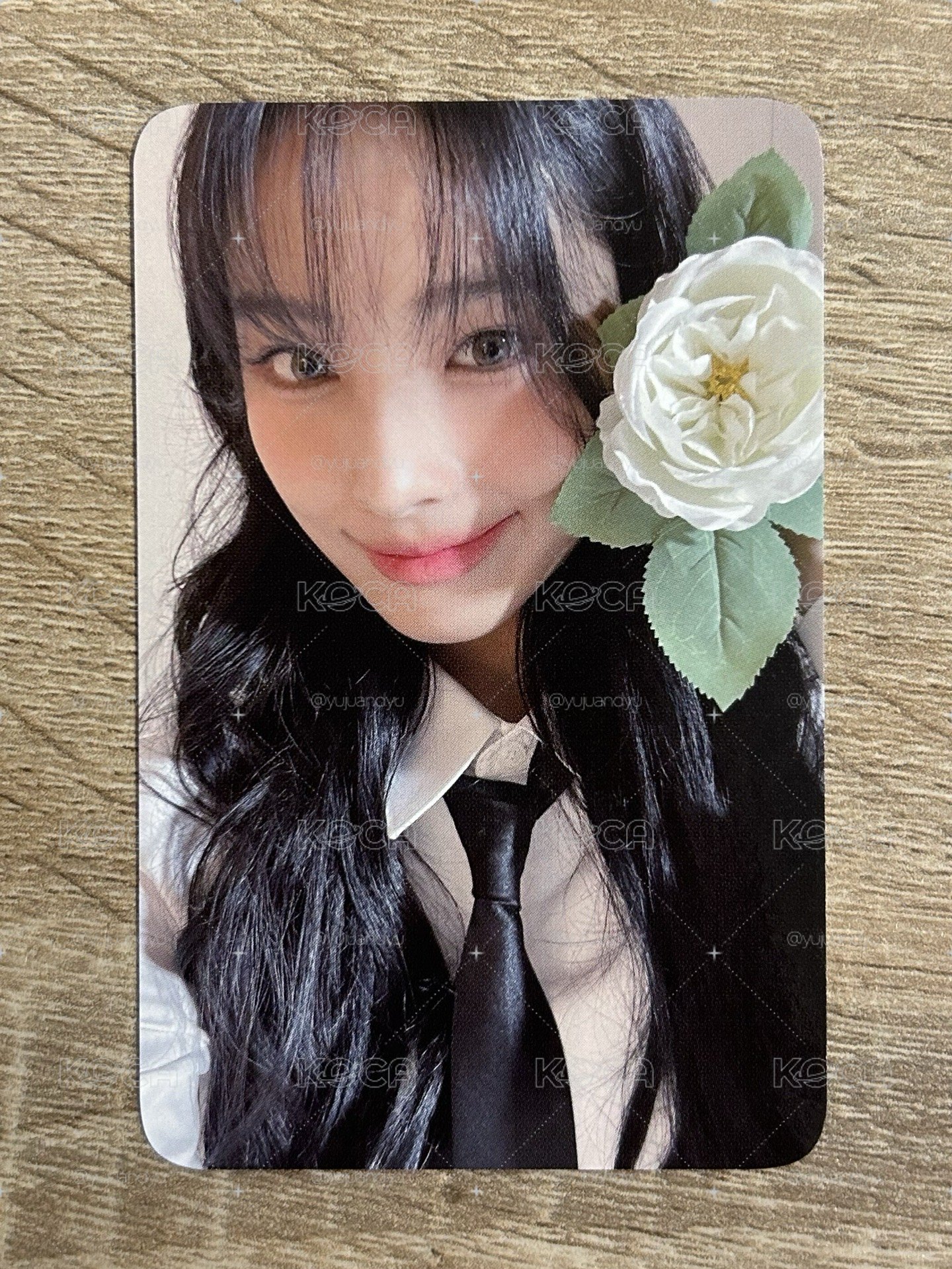 k4花花Jini
