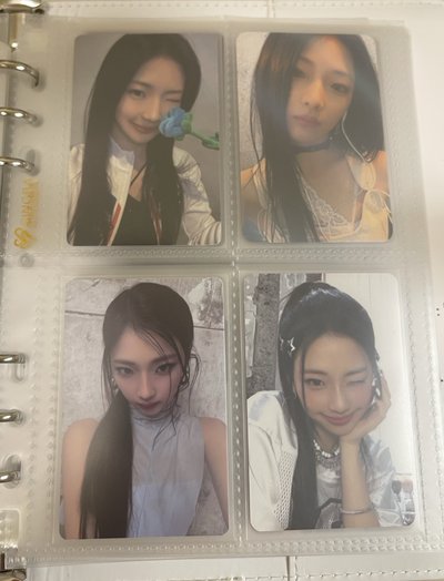 露露的小卡區