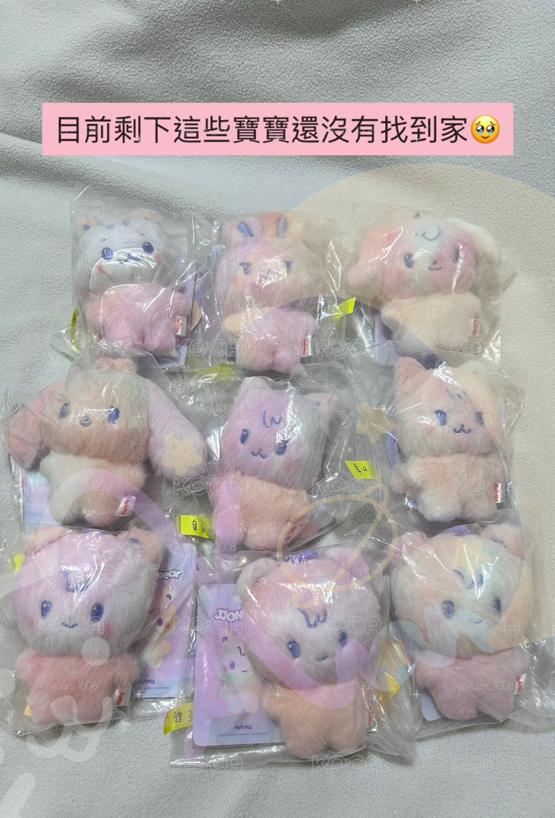 🏴‍☠️混色寶寶大軍～6/25更新