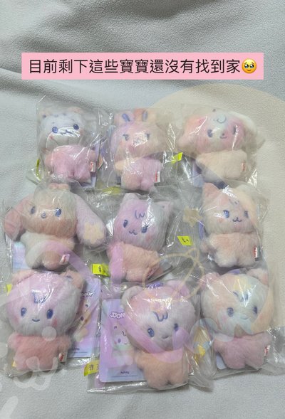 🏴‍☠️混色寶寶大軍～6/25更新