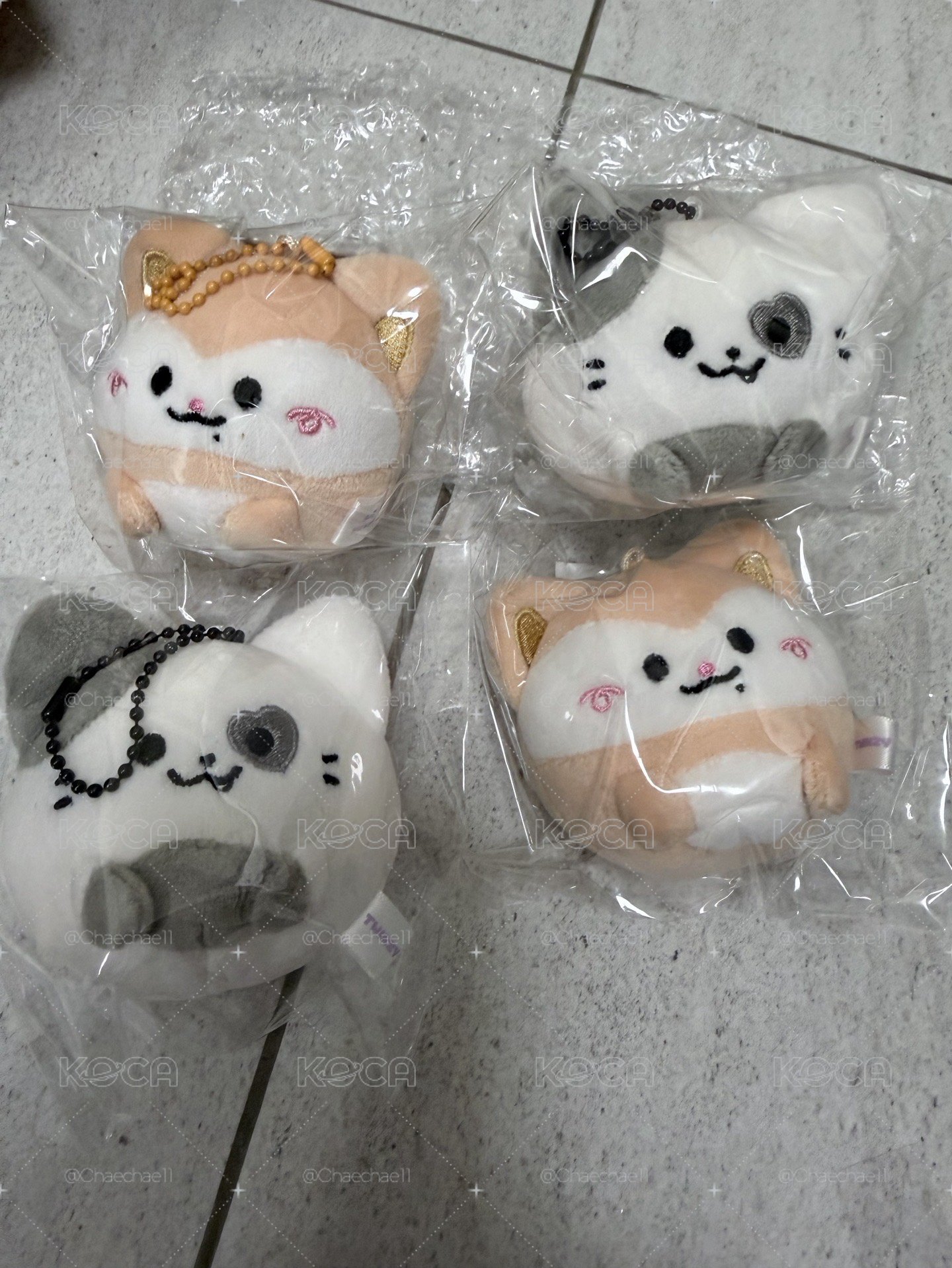 圓滾滾小東西