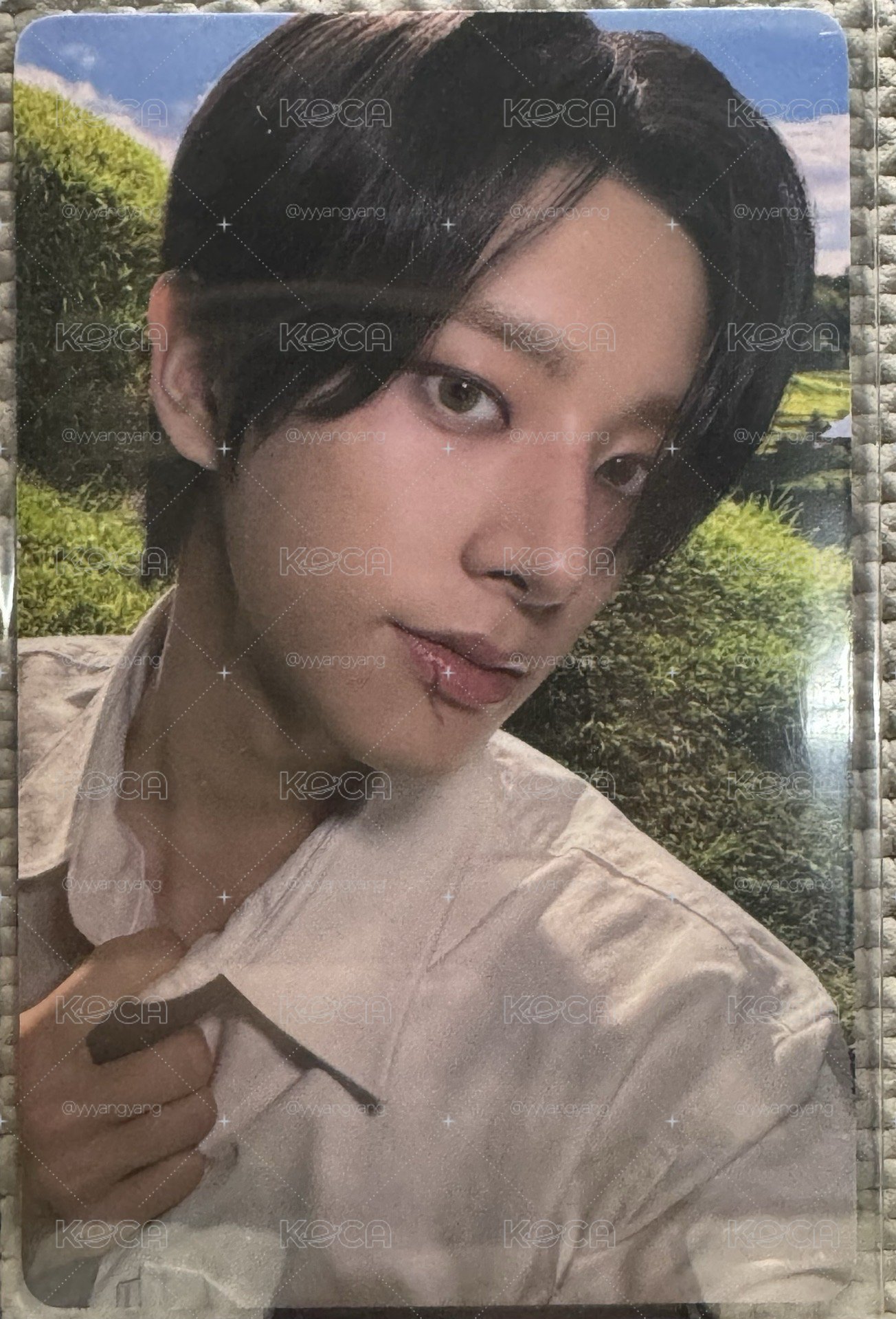 🐕快樂小狗卡🐾