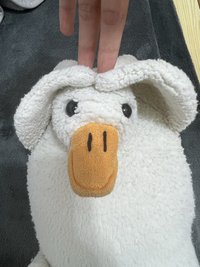 呱呱