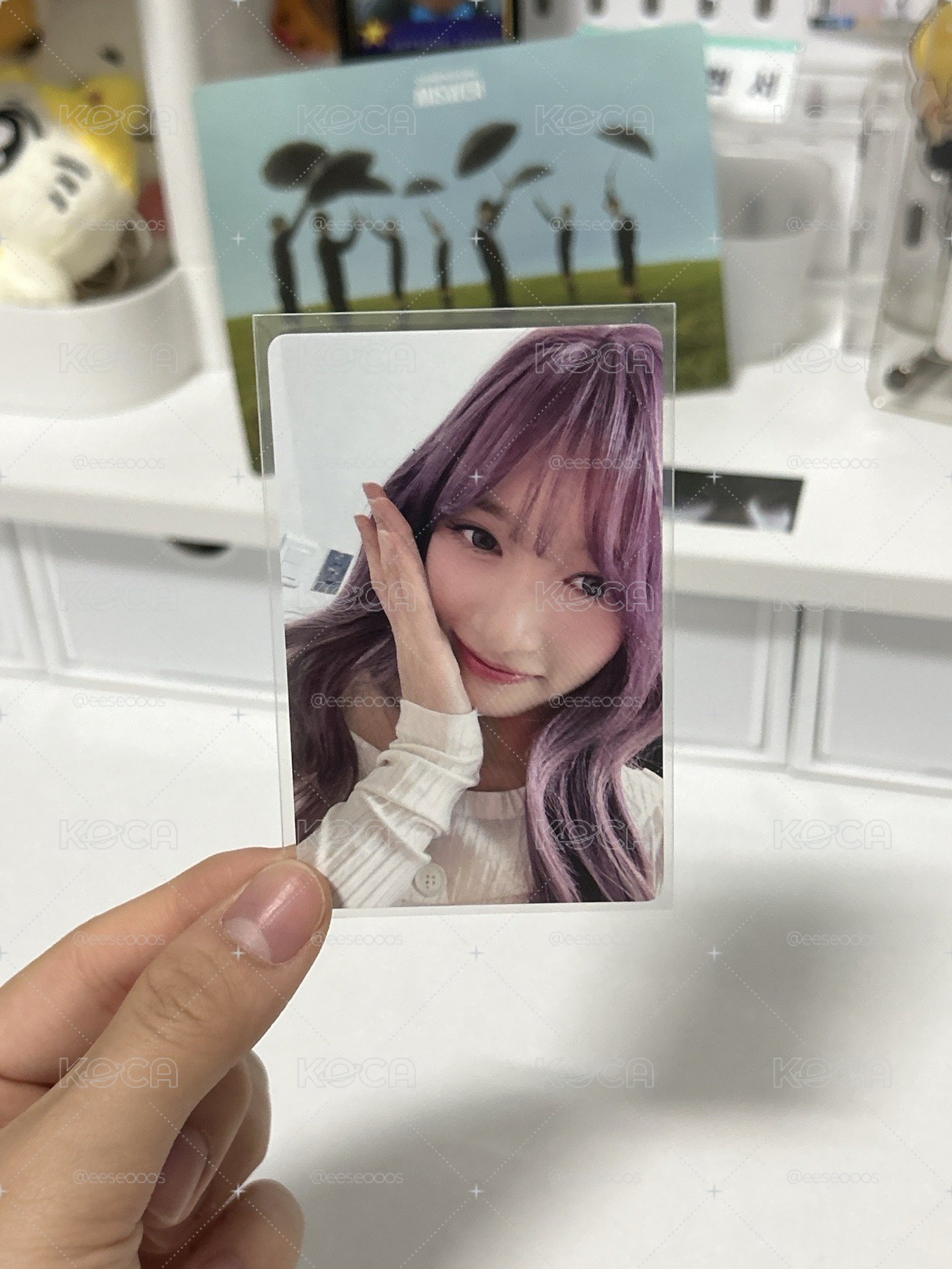 瑞卡