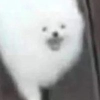 ddd