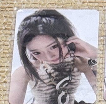 四星露（中背）