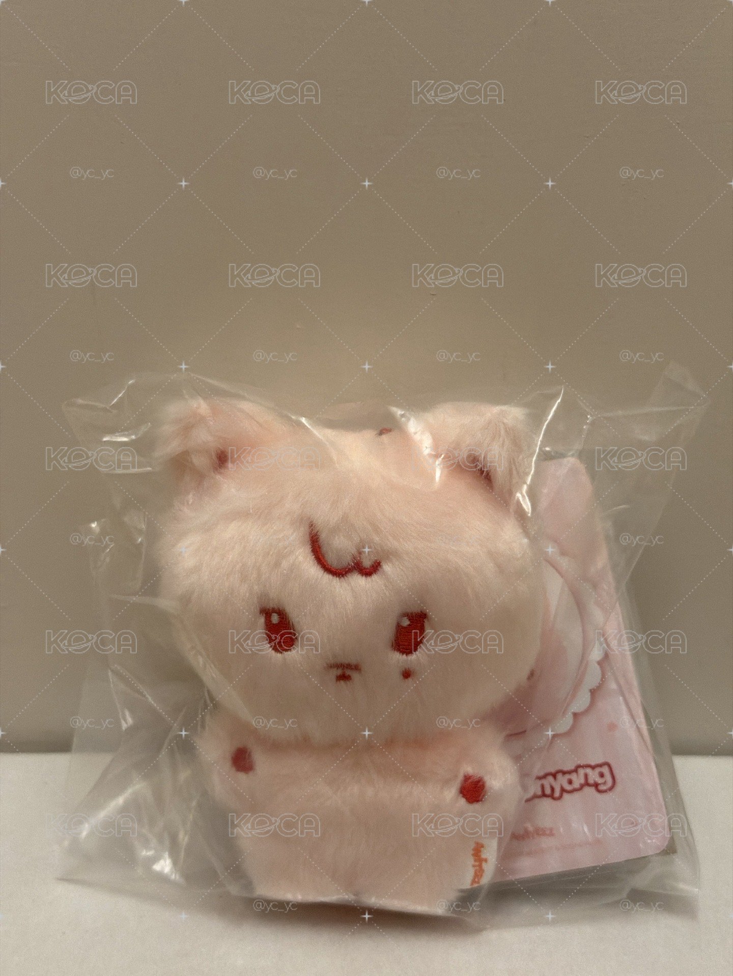開運小貓🐱（含卡）