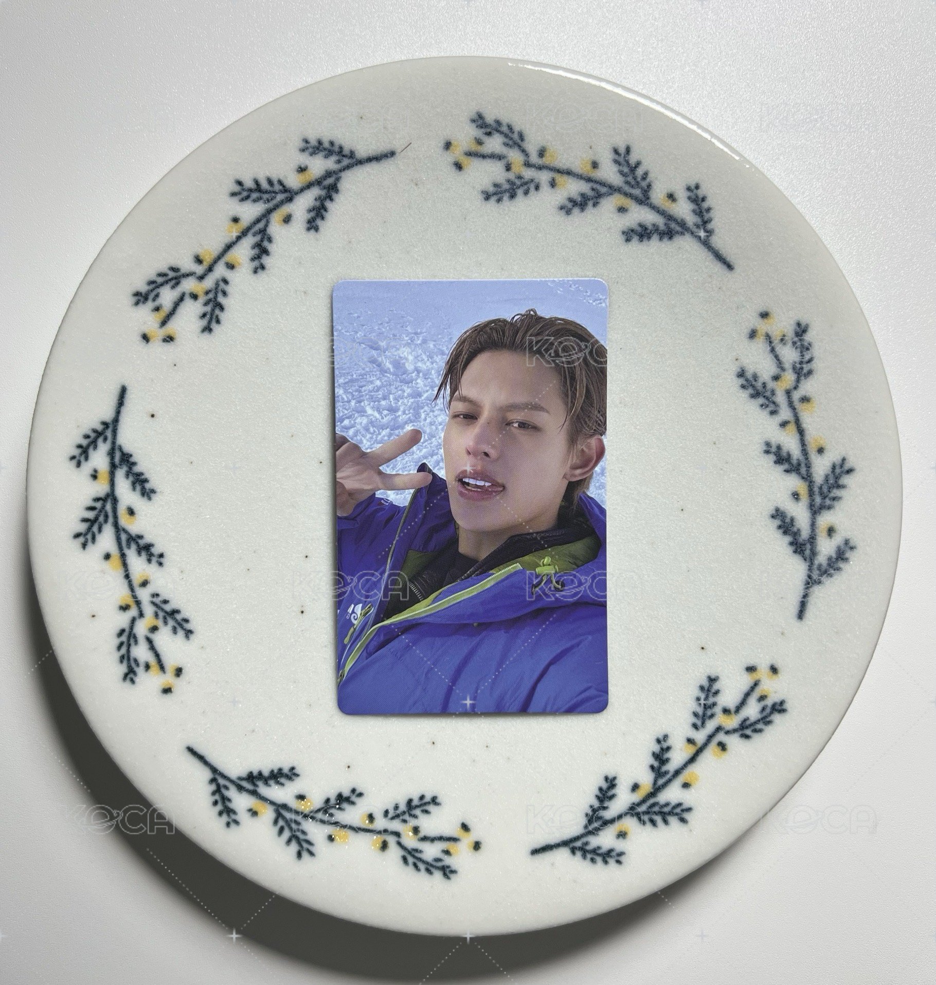 雪地上吐舌凡