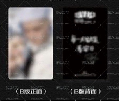 李泰容 WYLD 小芒特典