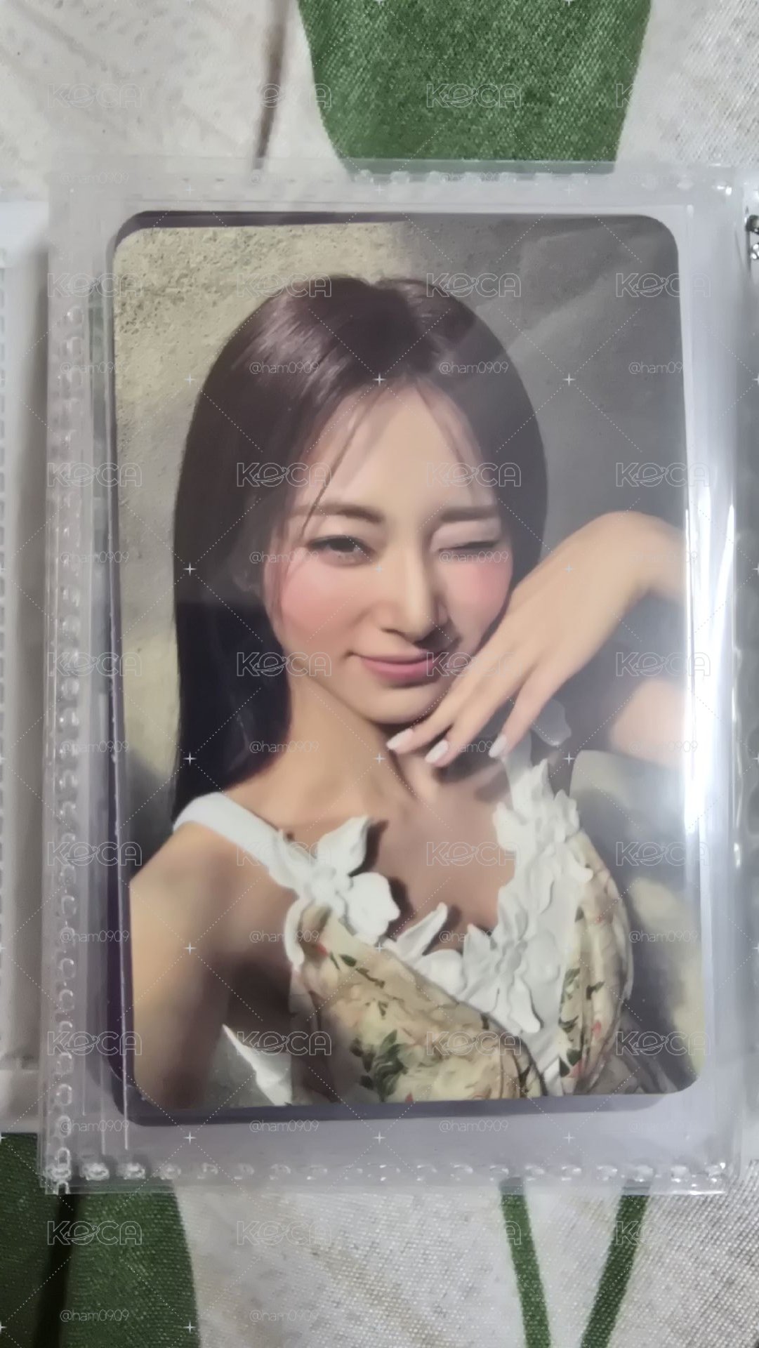 solo迷一 專輯卡 I