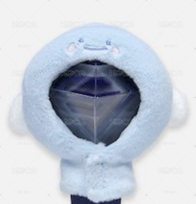 SS10 圭賢手燈套 預購