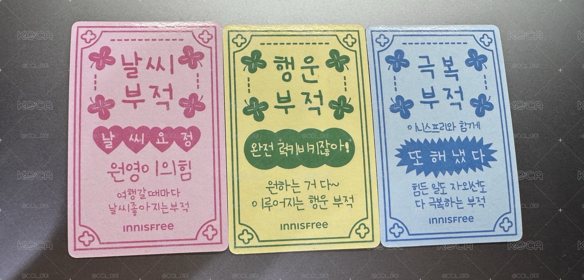 張員瑛 INNISFREE 3.0小卡組