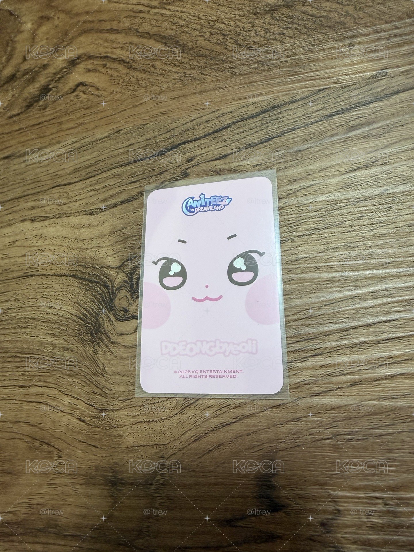 小動物卡背