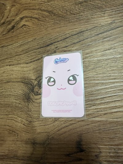 小動物卡背