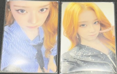 冬盤 綠牆冬 電影滿額兔子冬 華納冬柚雙人 日本蛋巡東蛋限定