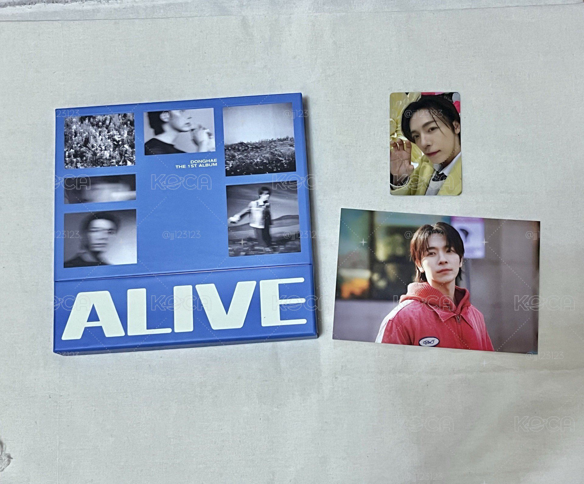 東海 Alive 虎爪卡+空專