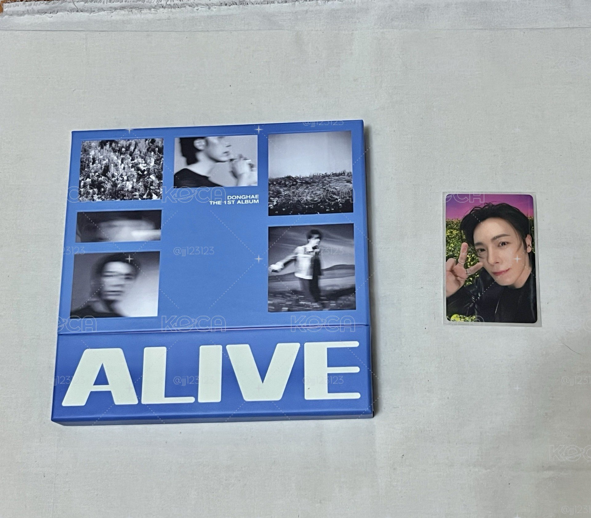 東海 Alive 小卡+空專
