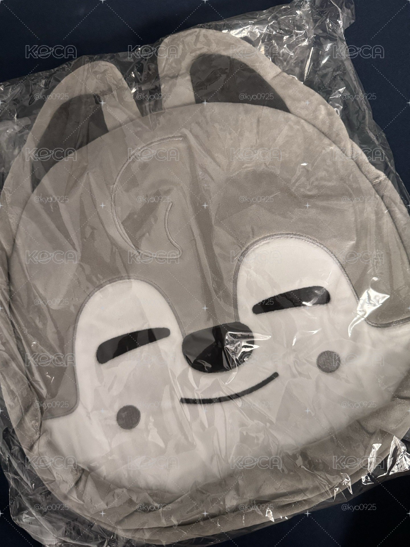 燦日周托特包