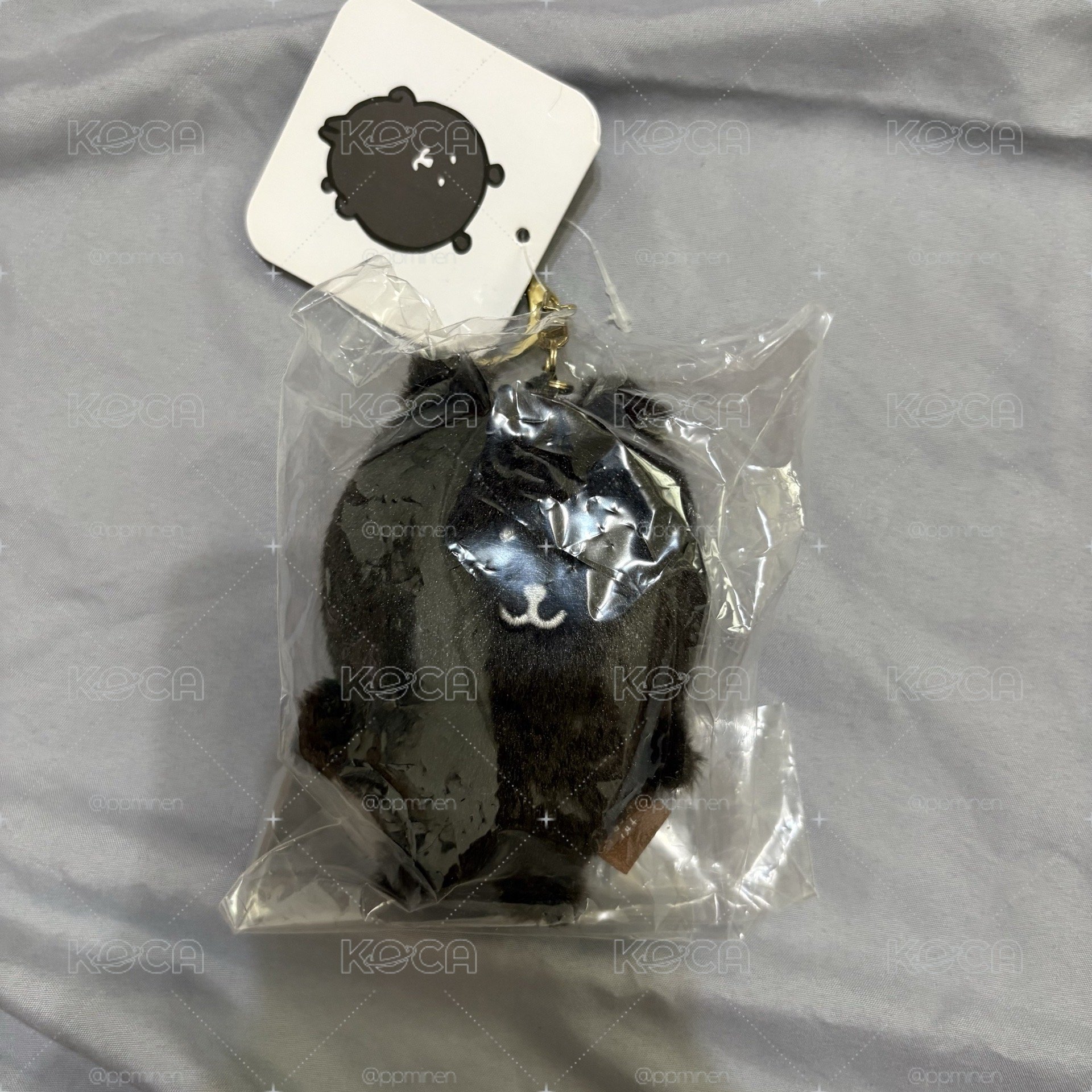 彩色熊 黑色
