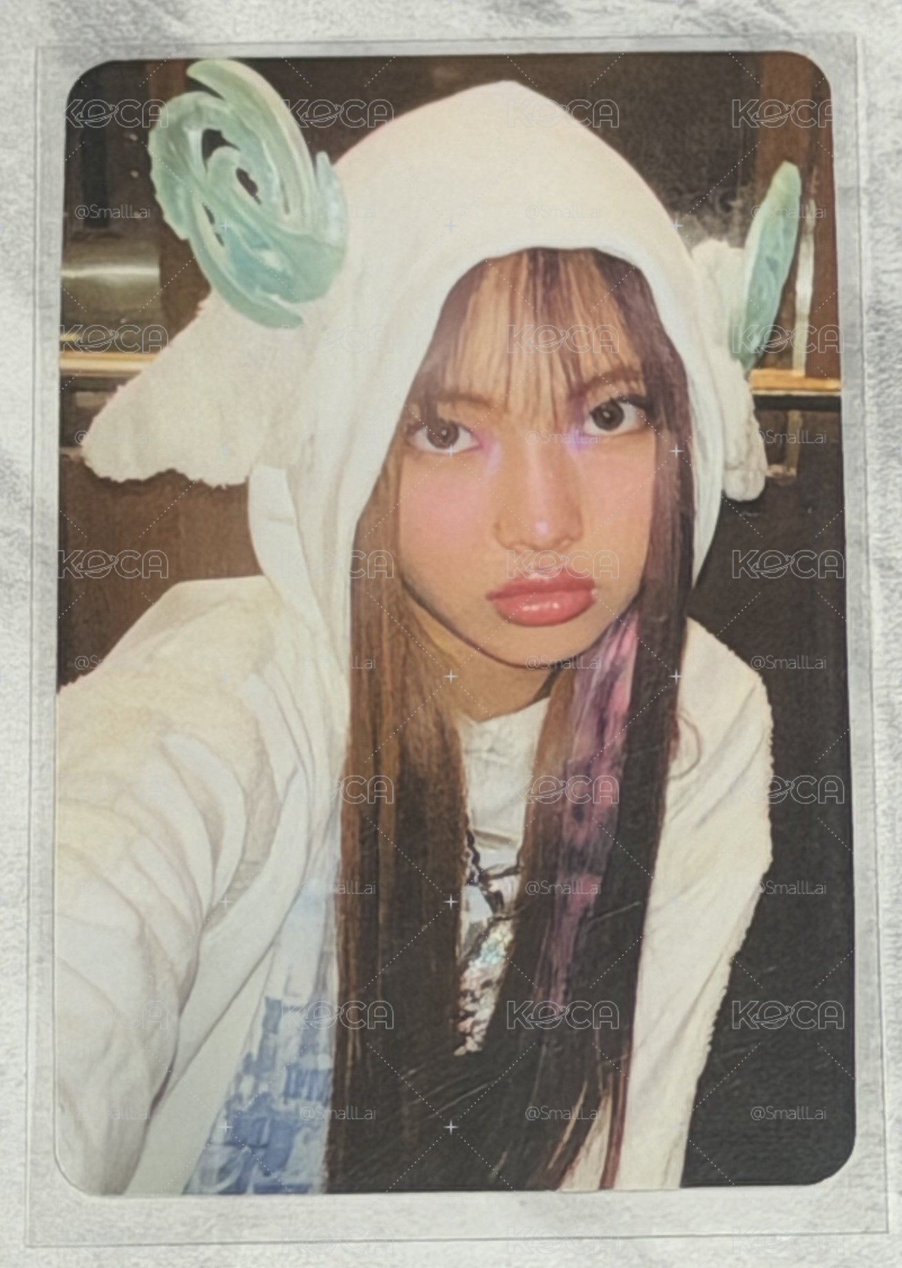 OMG 專輯卡 WVS A ver.