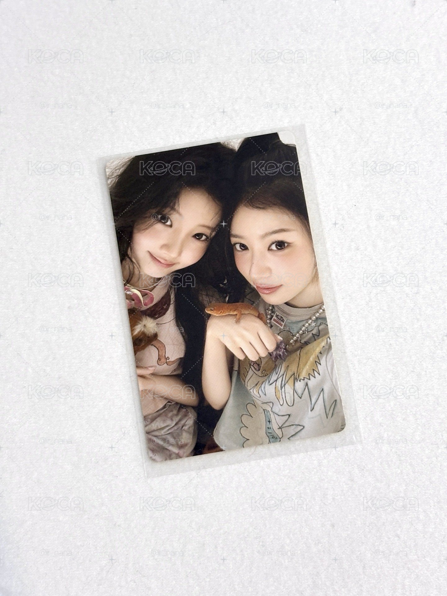 摩禧99💓💓雙人卡