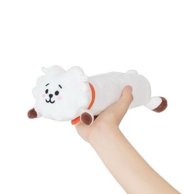 【BT21】玩偶筆袋 RJ