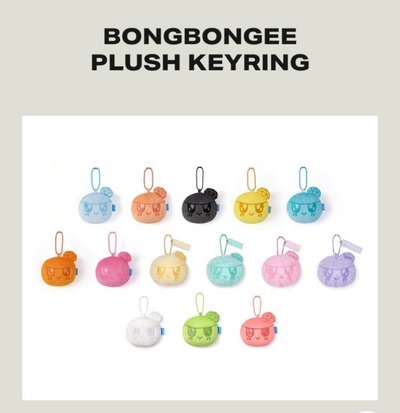 SEVENTEEN  BONGBONGEE PLUSH KEYRING   世巡 城市限定