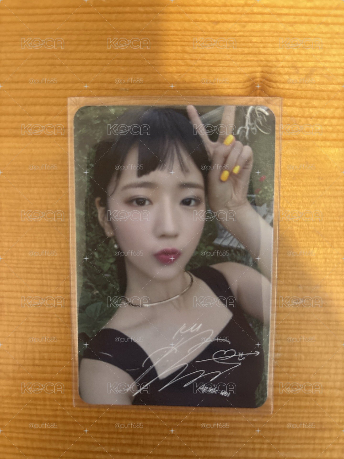 普美 專輯卡