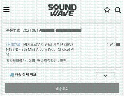 現貨✅ SEVENTEEN Your Choice 專輯 SOUNDWAVE LD 特典 小卡