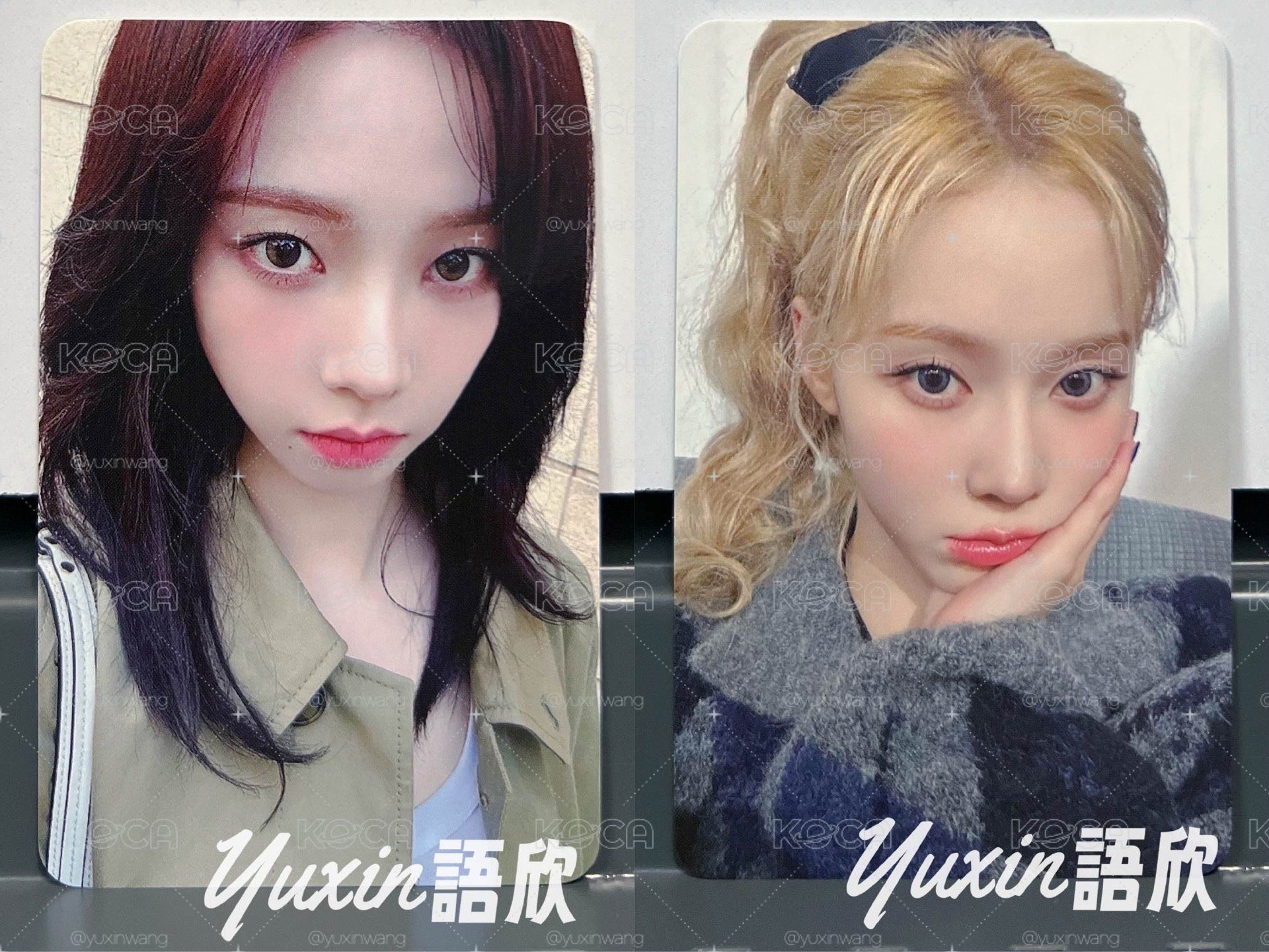 現貨✅ aespa Whiplash 專輯 DEAR MY MUSE LD 特典 小卡
