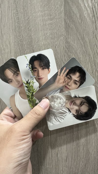精選專克拉盤-DK
