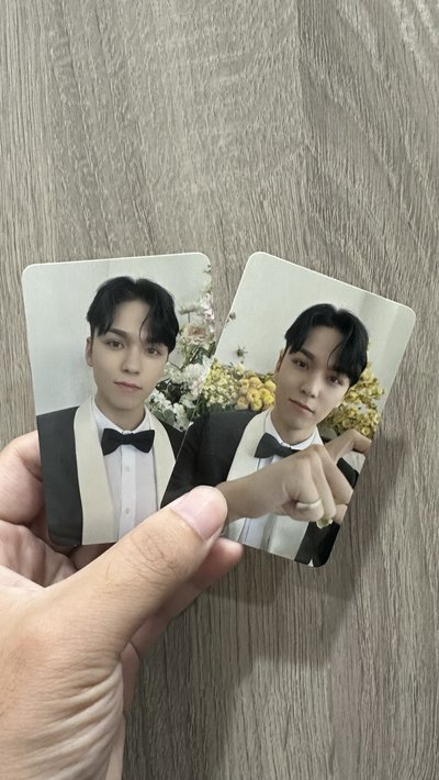 迷十克拉盤（VERNON）全專