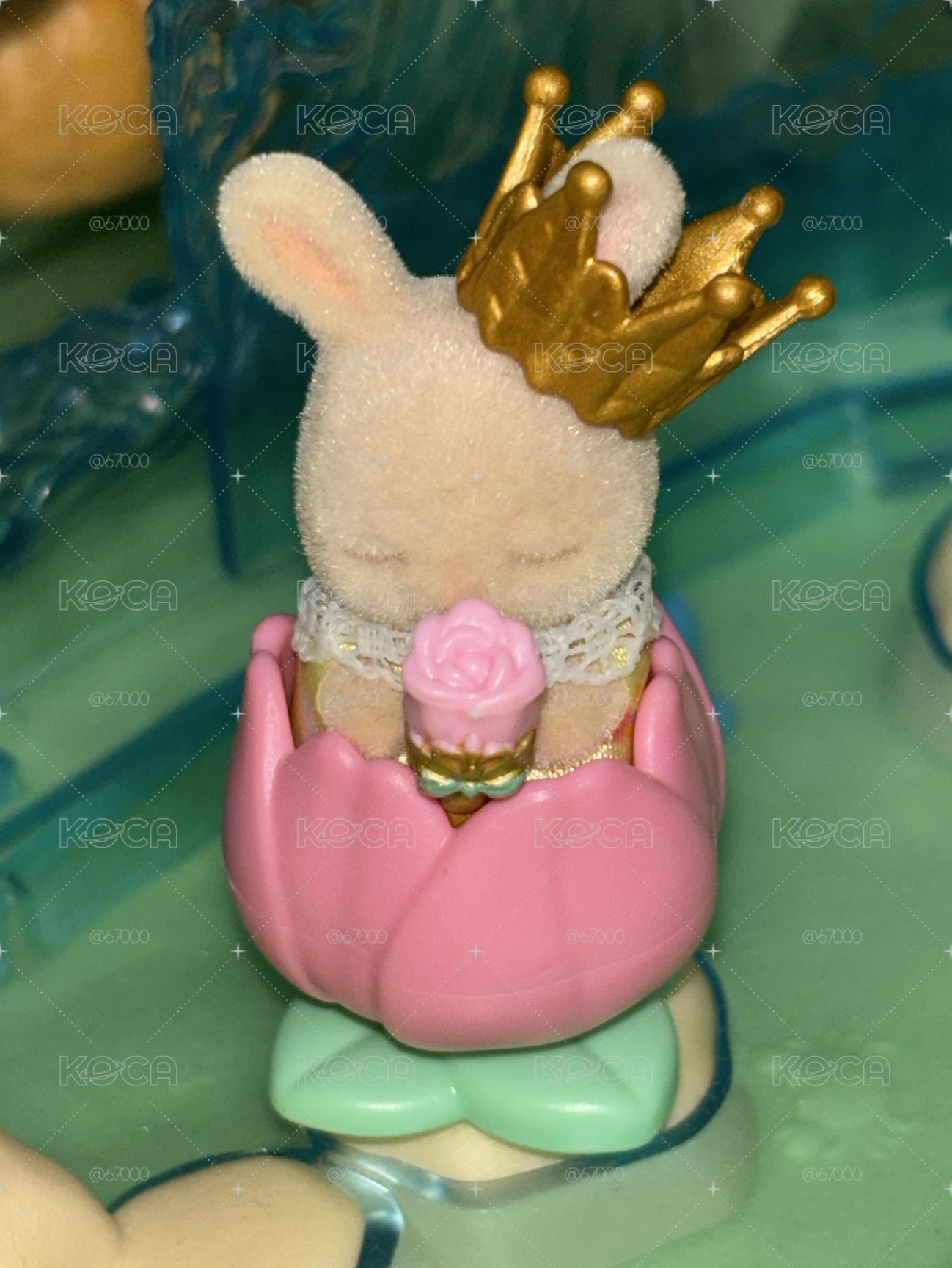 🌷鬱金香牛奶兔公主陛下🌷