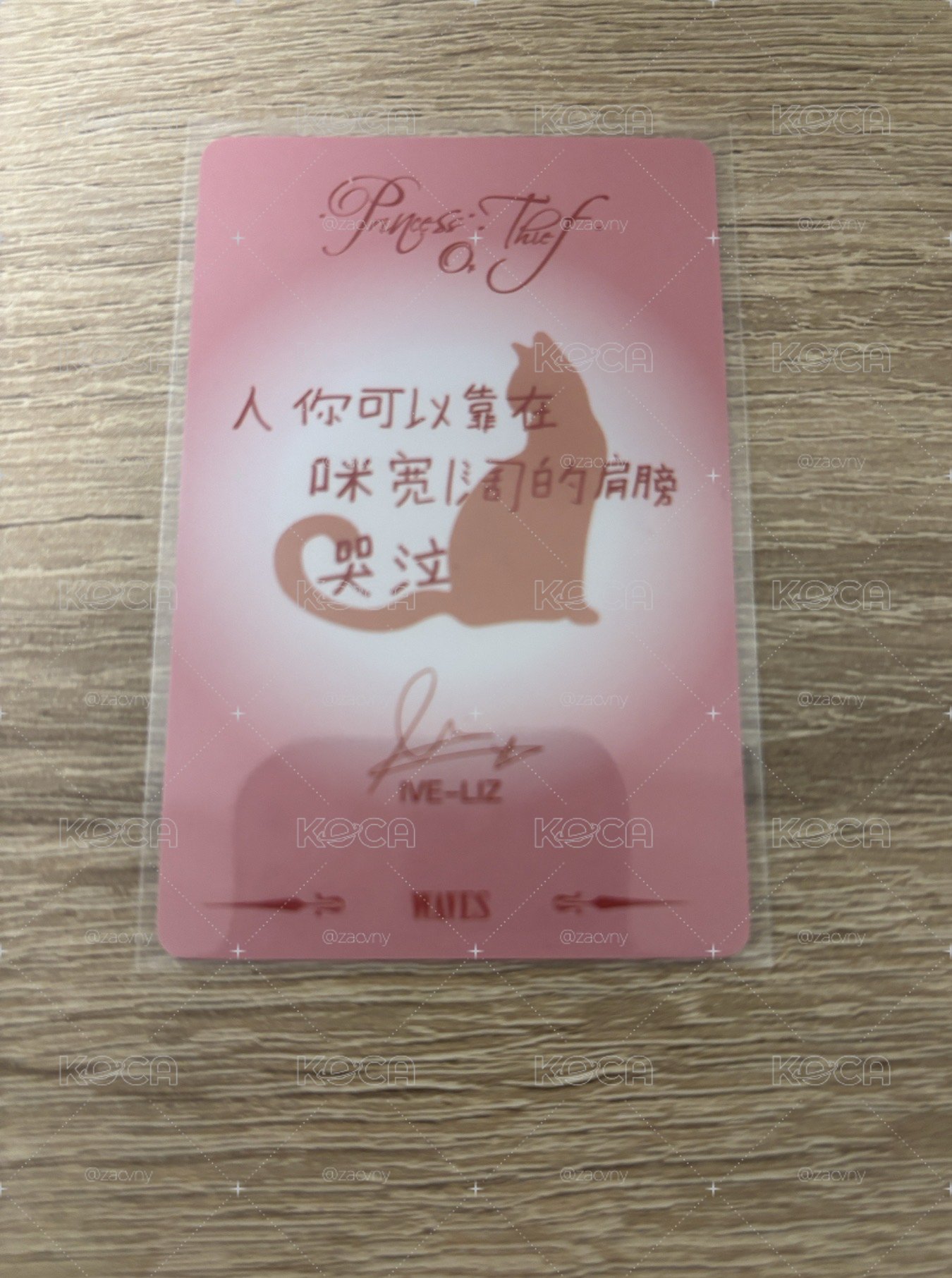 Waves漫潮雜誌 雜誌卡 C版 貓耳栗