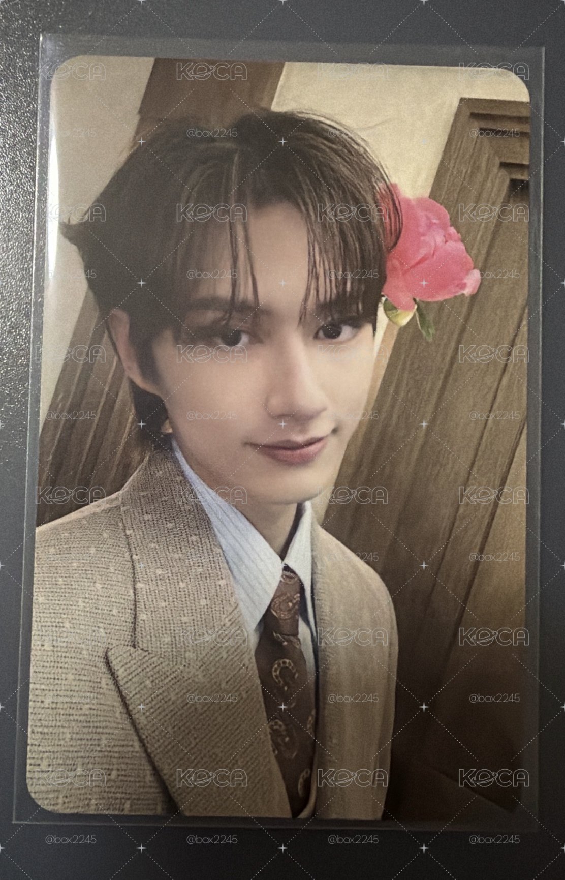 MINI12 專輯卡 CARAT ver.