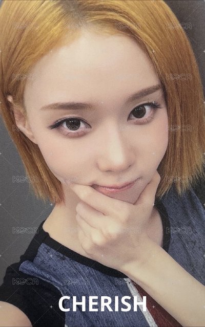 [非現］ms預售 冬柚單卡