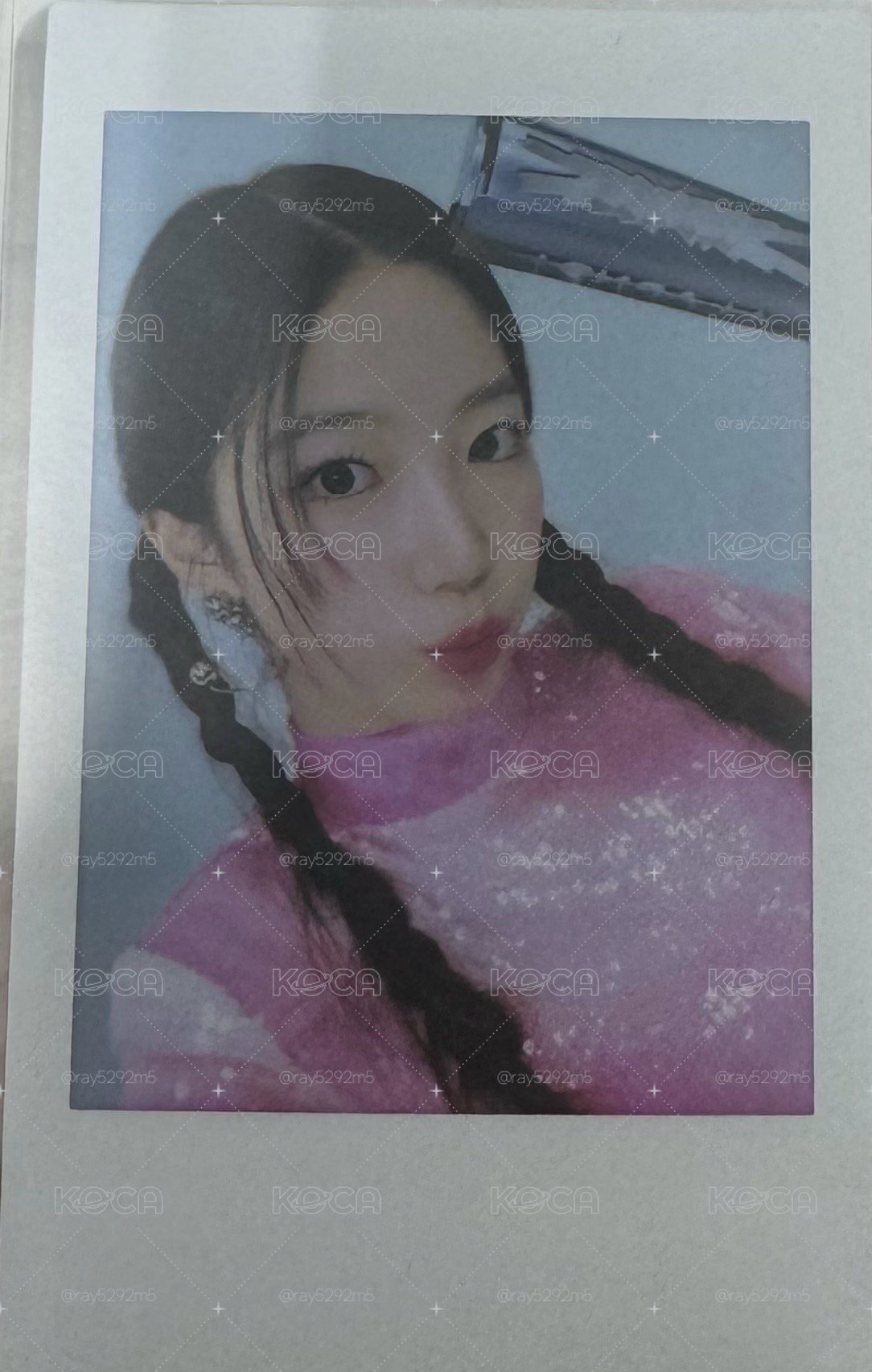 日巡拍立得 葉