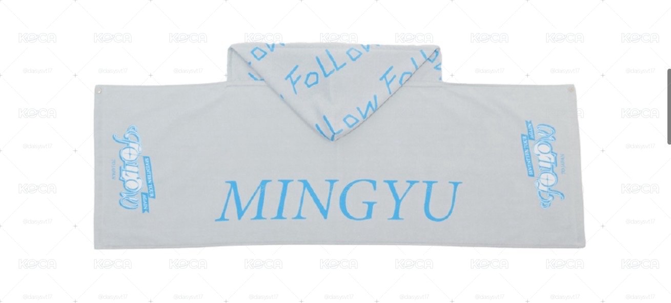 Follow Again 毛巾帽 奎