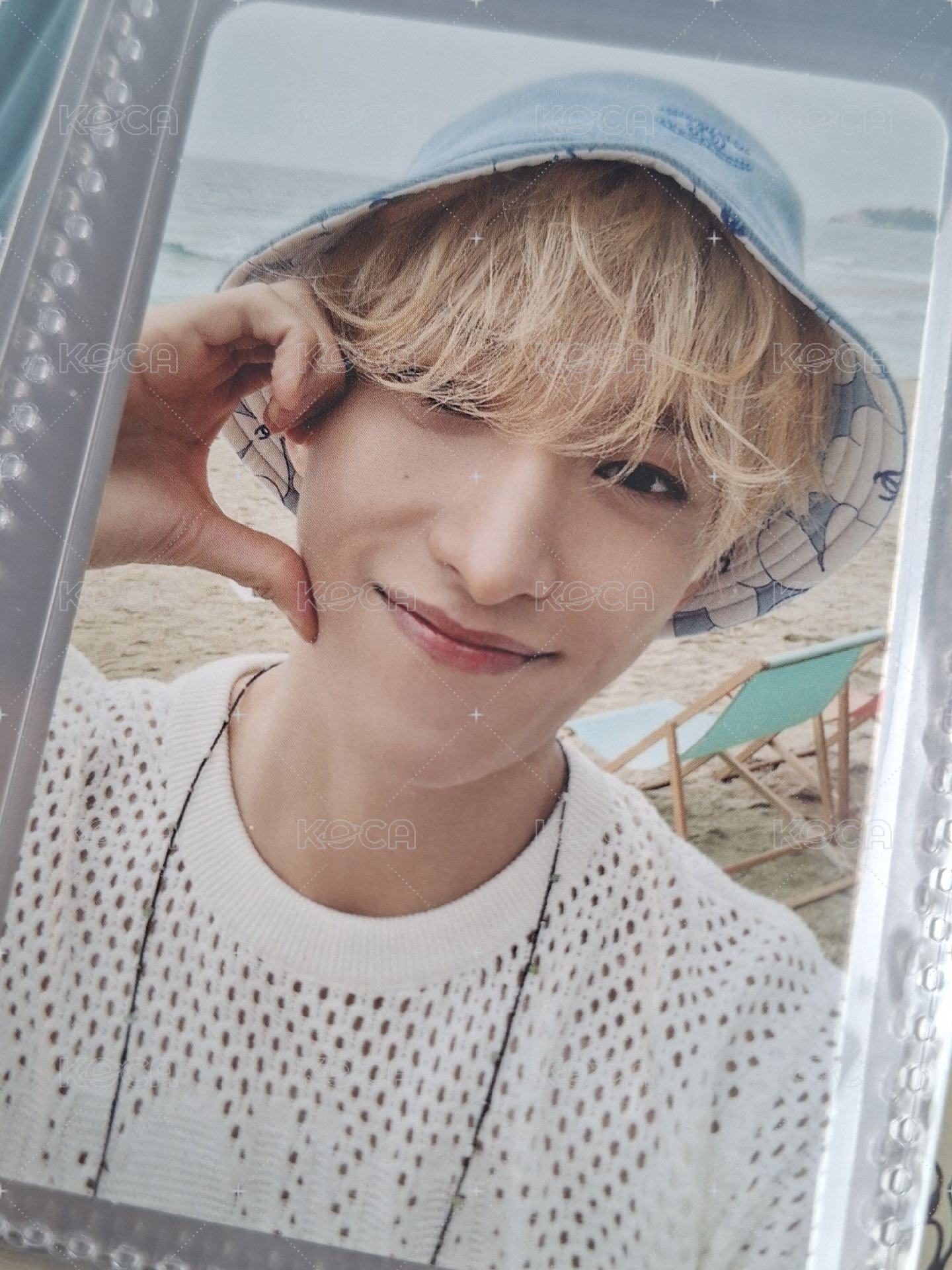 海邊小狗