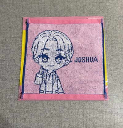 現貨 已拆袋確認款 SEVENTEEN PetiTEEN 萬代一番賞 小方巾