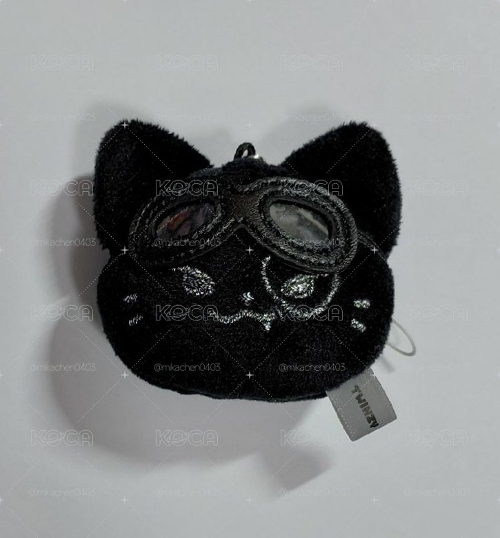 黑皮志