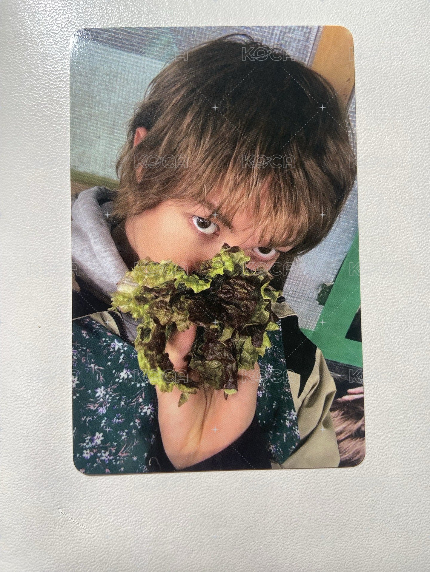 迷二生菜卡馬