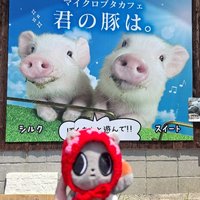 chun（現貨三天內寄出）