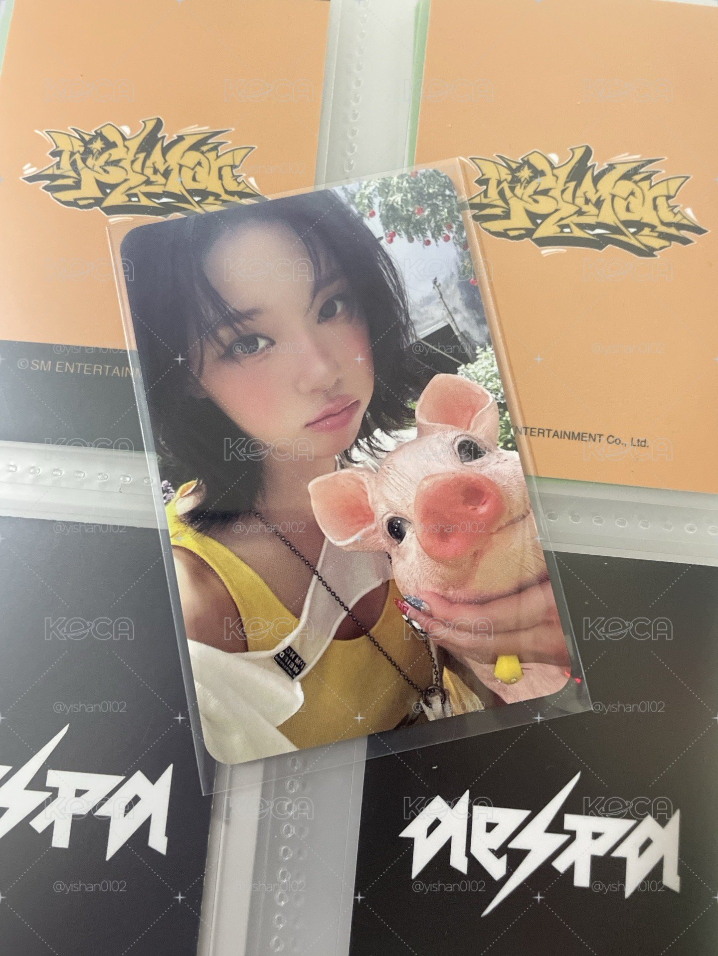 Aespa rm 小豬冬🐷