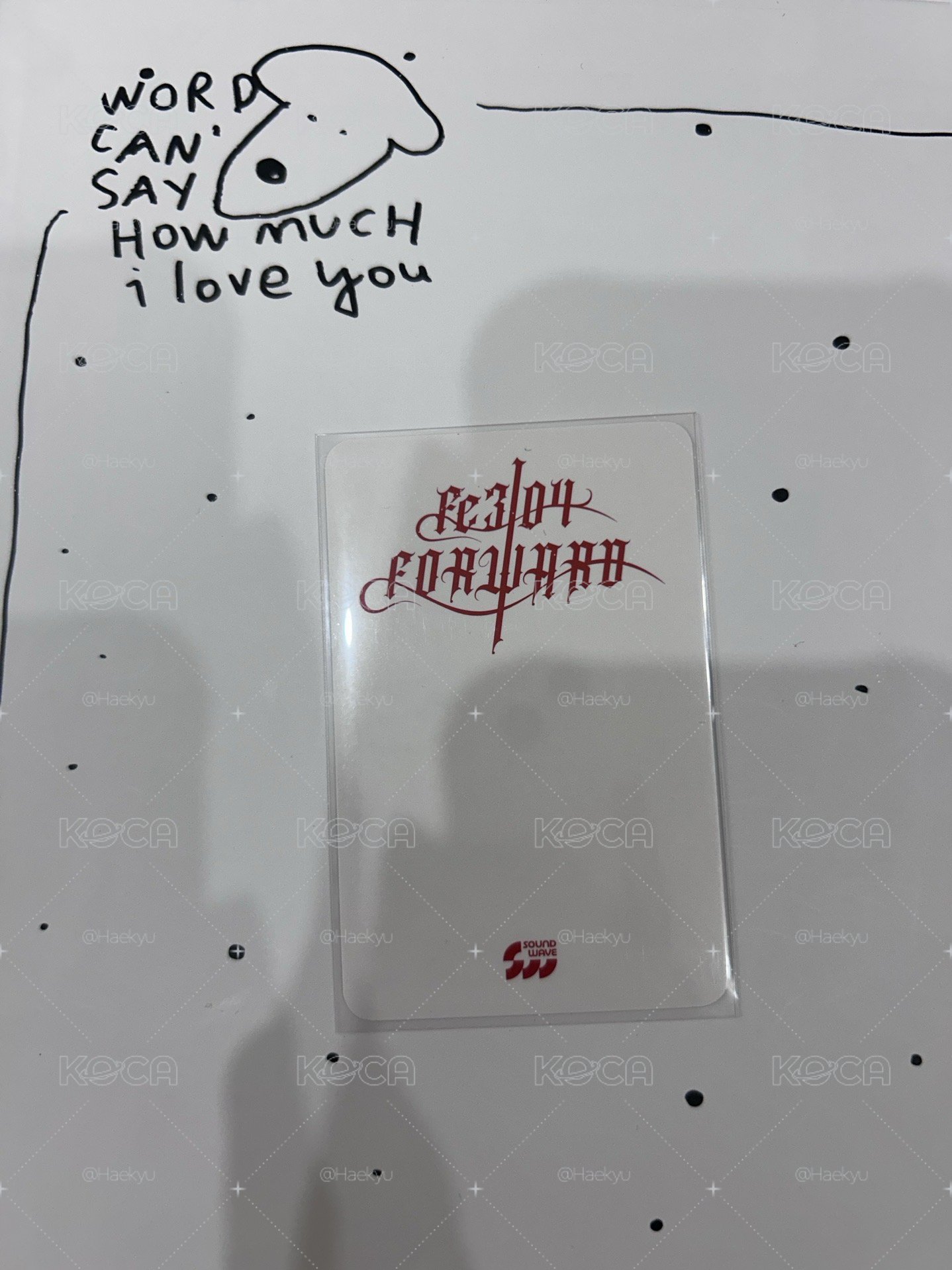 阿拉蕾友帶主頁任兩張莉卡