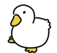 小鴨🐤