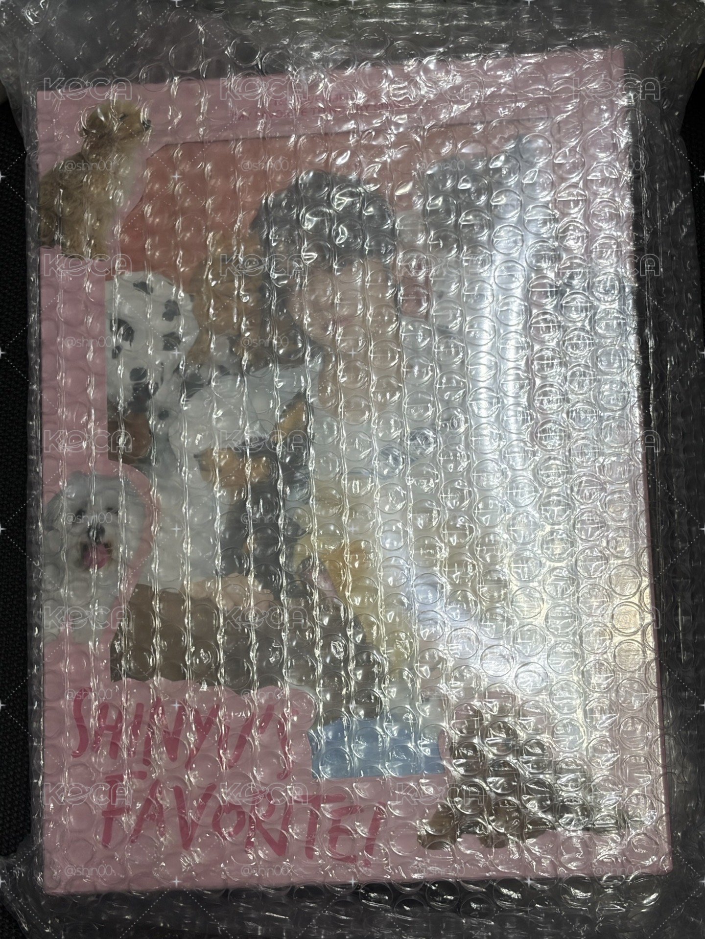 申惟25生日禮