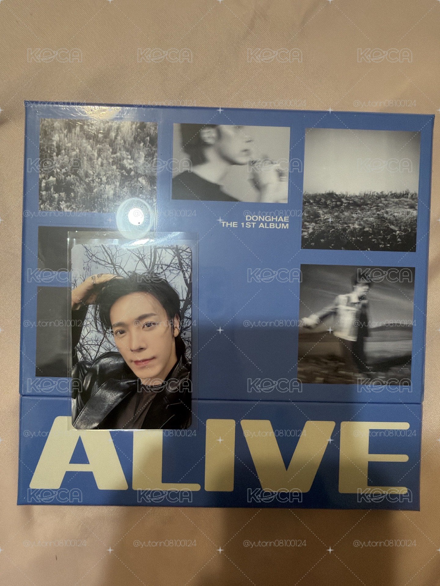 東海 ALIVE 特典 熊寶